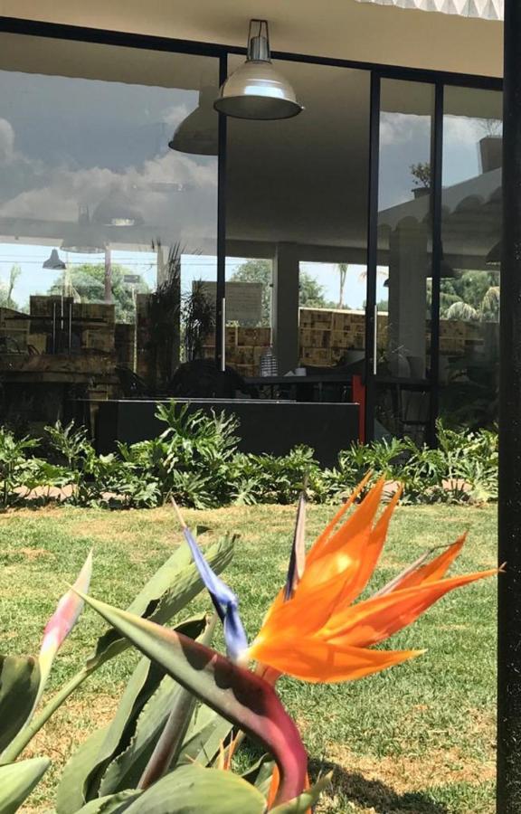 Calido Cosmos Hotel Cholula Kültér fotó